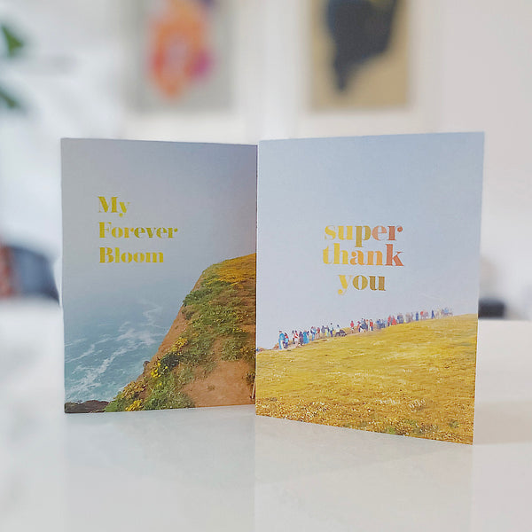 Plants & Florals (plus NEW Superbloom cards)